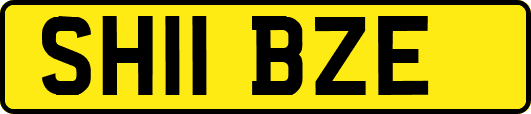 SH11BZE