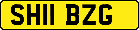 SH11BZG