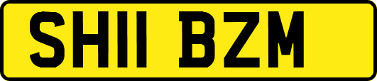 SH11BZM