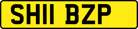 SH11BZP