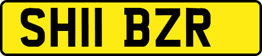 SH11BZR