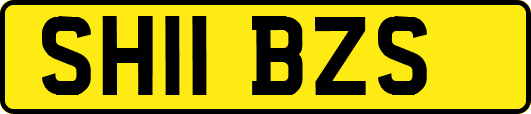 SH11BZS