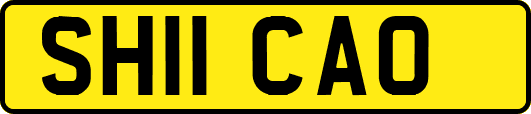 SH11CAO