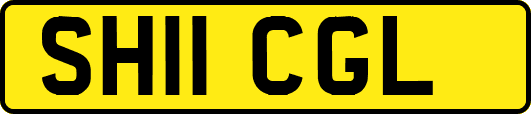 SH11CGL
