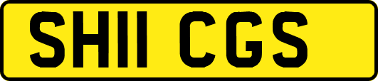 SH11CGS
