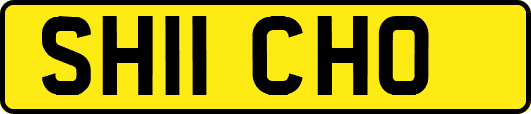 SH11CHO