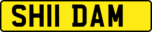 SH11DAM
