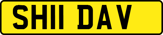 SH11DAV