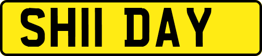 SH11DAY