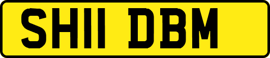 SH11DBM