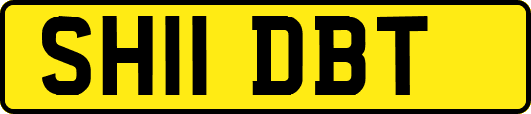 SH11DBT
