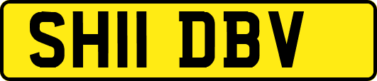 SH11DBV