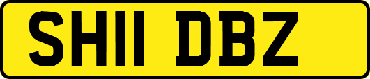 SH11DBZ