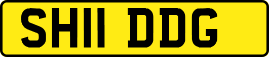 SH11DDG