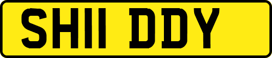 SH11DDY