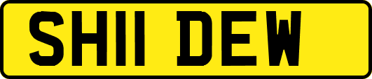 SH11DEW