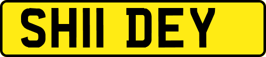 SH11DEY