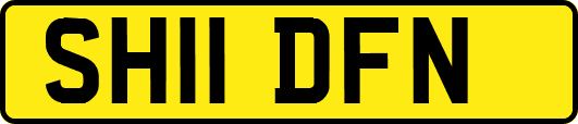 SH11DFN