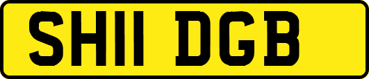SH11DGB