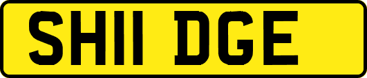 SH11DGE