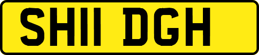 SH11DGH