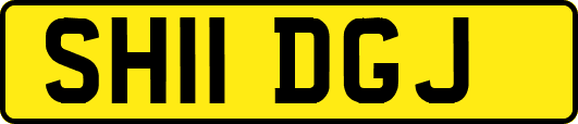 SH11DGJ