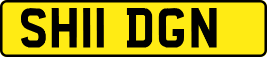 SH11DGN