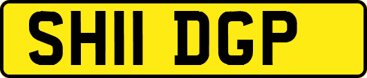SH11DGP
