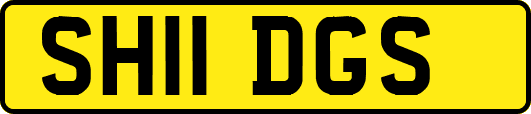 SH11DGS