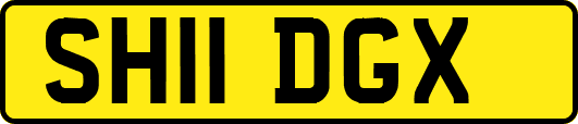 SH11DGX
