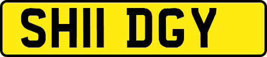 SH11DGY