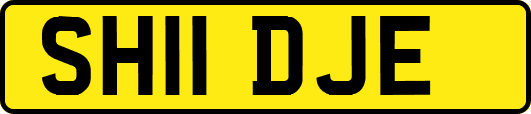SH11DJE