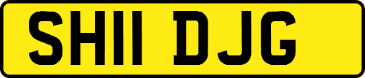 SH11DJG