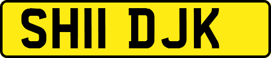 SH11DJK