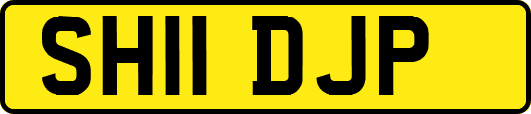 SH11DJP