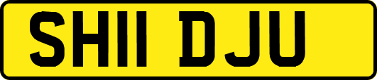 SH11DJU