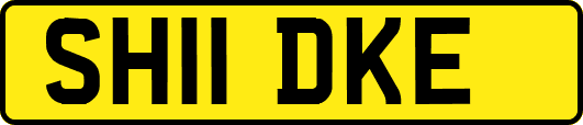 SH11DKE