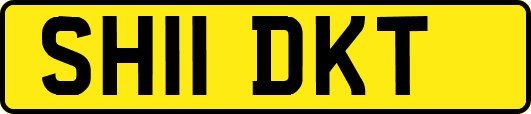 SH11DKT
