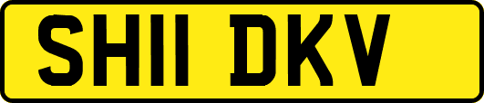 SH11DKV