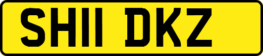 SH11DKZ
