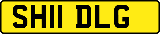 SH11DLG