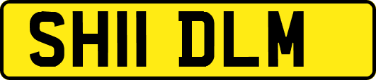 SH11DLM