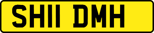 SH11DMH