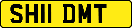 SH11DMT