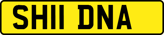 SH11DNA