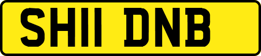SH11DNB
