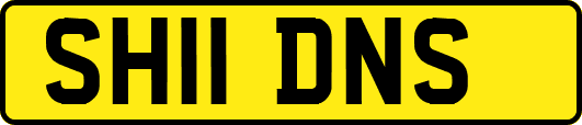 SH11DNS