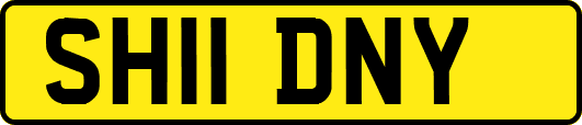 SH11DNY