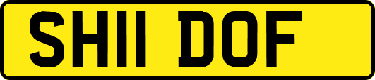 SH11DOF
