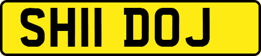 SH11DOJ